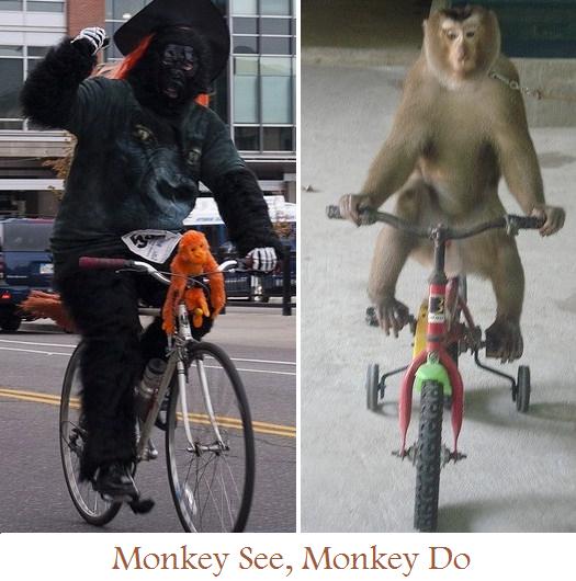 monkey see, monkey do