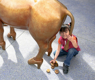 cash cow image