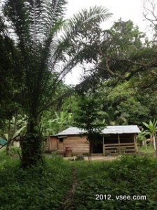 Gabon village