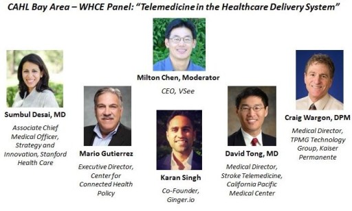 Telemedicine panel